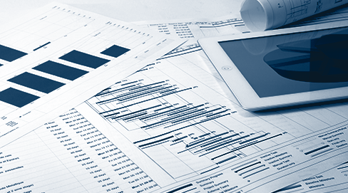 Link for the Monthly Disclosure of Group Companies