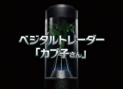 Vegetal Trader “Kabuko-san”